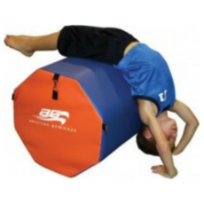 AG Octagon 20in x 28in orange